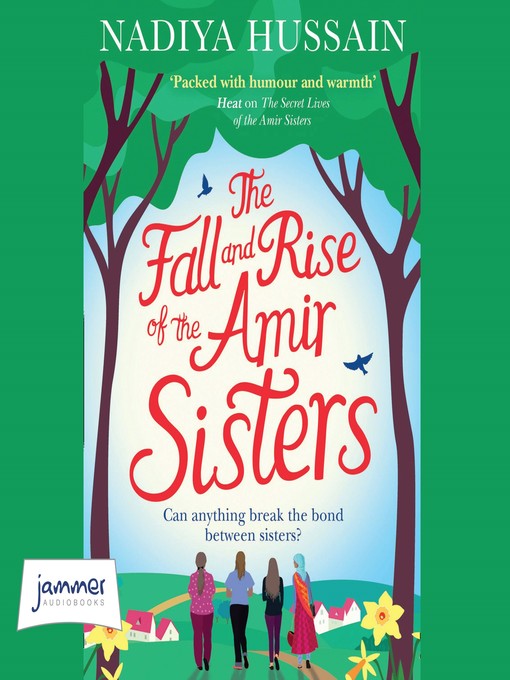 Cover image for The Fall and Rise of the Amir Sisters